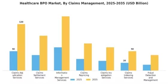 Healthcare BPO Market Segment Image 2