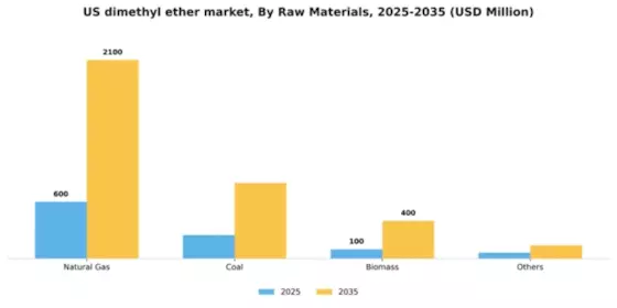 US Dimethyl Ether Market Segment Image 1