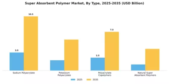 Super Absorbent Polymer Market Segment Image 4