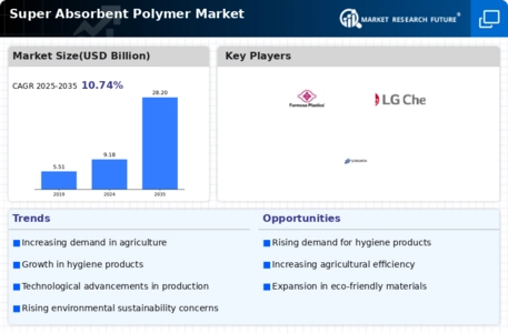 Super Absorbent Polymer Market Infographic