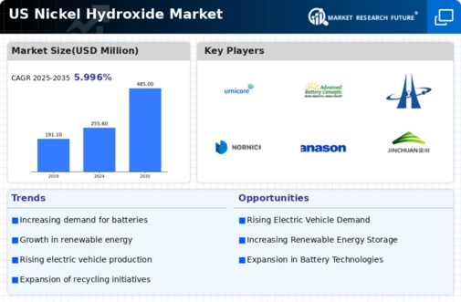 US Nickel Hydroxide Market Infographic