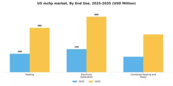 US MCHP Market Segment Image 1