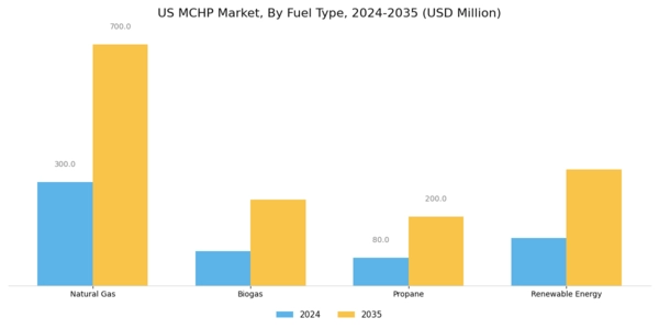 US MCHP Market Segment Image 1
