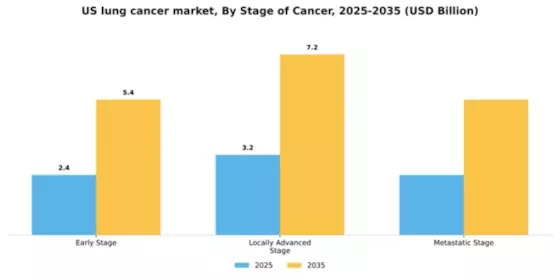 US Lung Cancer Market Segment Image 2