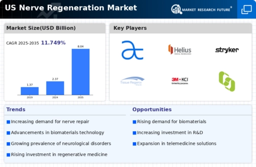 US Nerve Regeneration Market Infographic