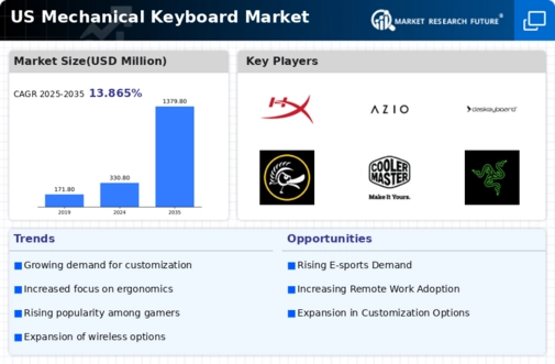 US Mechanical Keyboard Market Infographic
