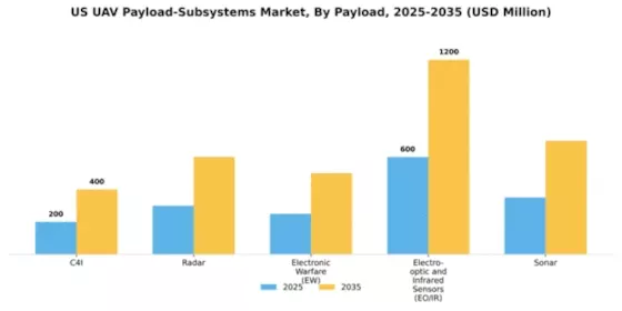 US UAV Payload Subsystems Market Segment Image 0