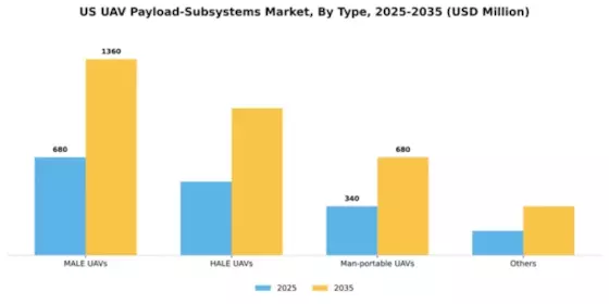 US UAV Payload Subsystems Market Segment Image 1