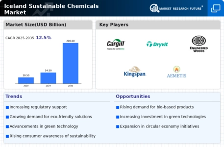 Iceland Sustainable Chemicals Market Infographic