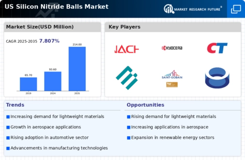 US Silicon Nitride Balls Market Infographic