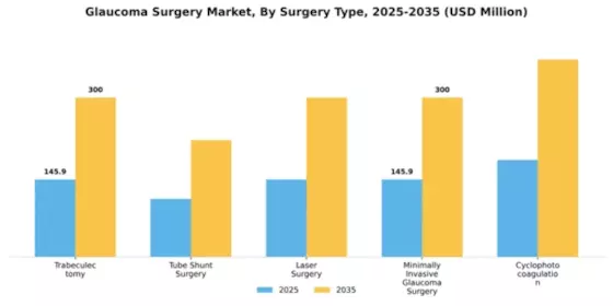 Glaucoma Surgery Market Segment Image 1