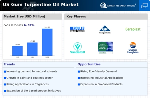 US Gum Turpentine Oil Market Infographic