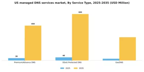 US Managed DNS Services Market Segment Image 2