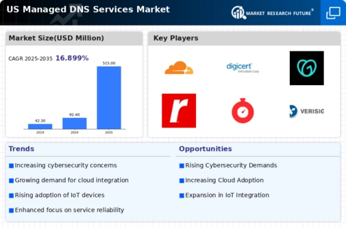 US Managed DNS Services Market Infographic