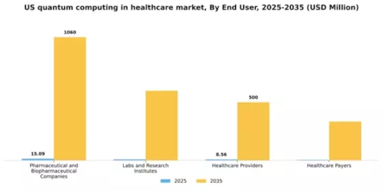 US Quantum Computing in Healthcare Market Segment Image 3