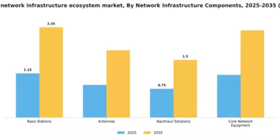 US Wireless Network Infrastructure Ecosystem Market Segment Image 2