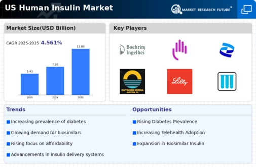 US Human Insulin Market Infographic