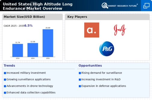 US High Altitude Long Endurance Market Infographic