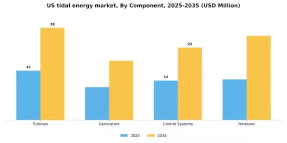 US Tidal Energy Market Segment Image 0