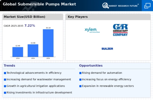 Submersible Pumps Market Infographic