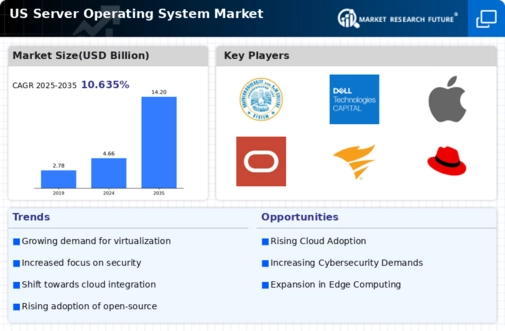 US Server Operating System Market Infographic