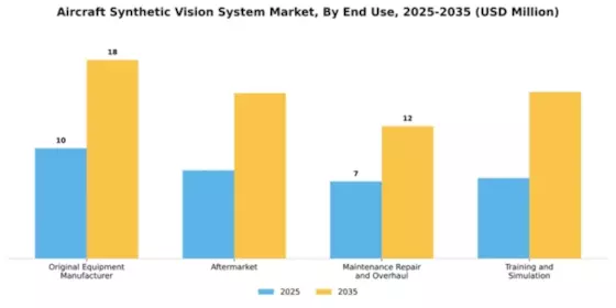 Aircraft Synthetic Vision System Market Segment Image 1
