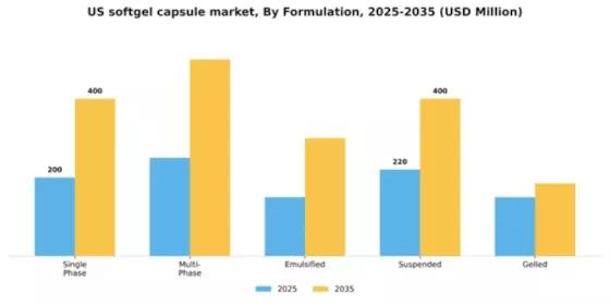 US Softgel Capsule Market Segment Image 2