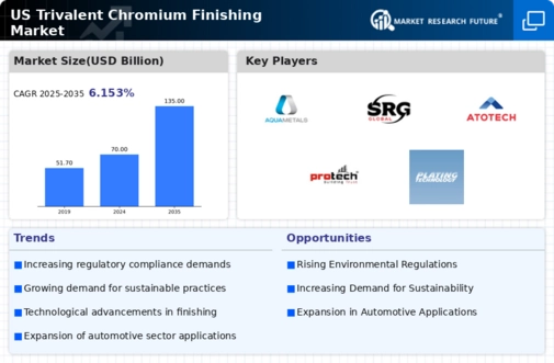 US Trivalent Chromium Finishing Market Infographic