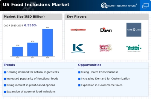 US Food Inclusions Market Infographic