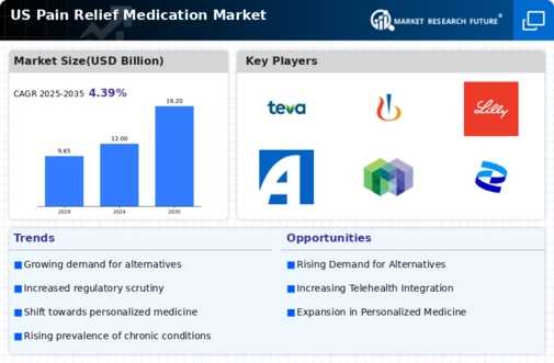 US Pain Relief Medication Market Infographic