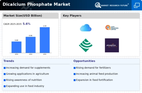 Dicalcium Phosphate Market Infographic