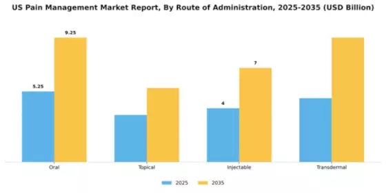 US Pain Management Market Segment Image 1