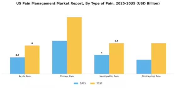 US Pain Management Market Segment Image 3