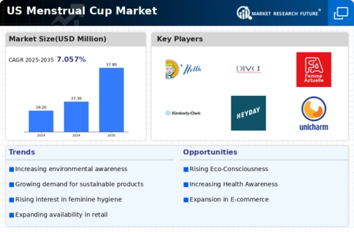 US Menstrual Cup Market Infographic
