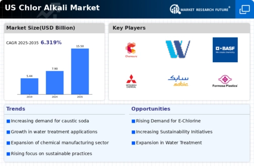 US Chlor Alkali Market Infographic