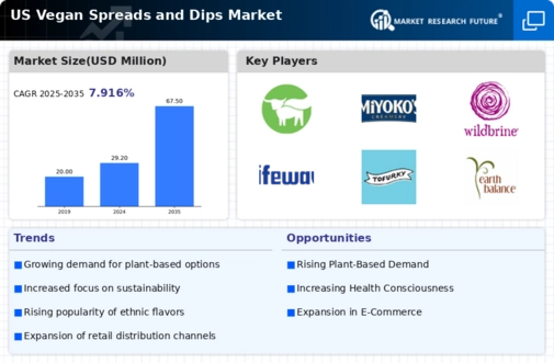US Vegan Spreads Dips Market Infographic