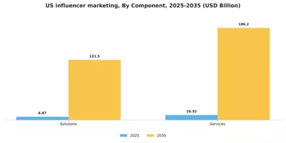 US Influencer Marketing Market Segment Image 0