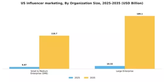 US Influencer Marketing Market Segment Image 2