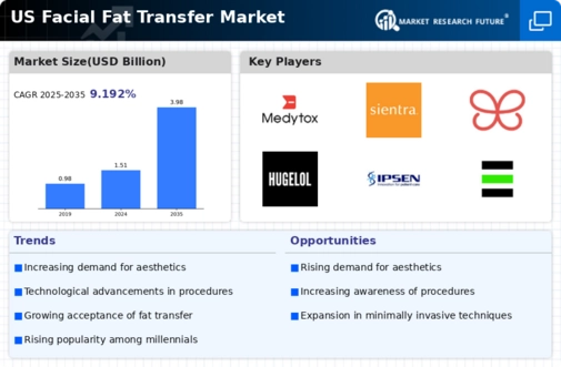 US Facial Fat Transfer Market Infographic