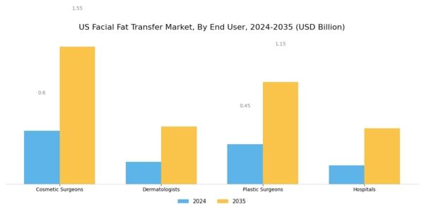 US Facial Fat Transfer Market Segment Image 1