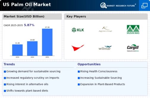 US Palm Oil Market Infographic