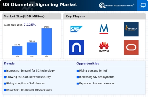US Diameter Signaling Market Infographic