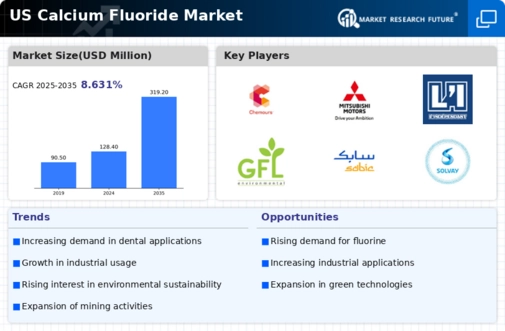 US Calcium Fluoride Market Infographic