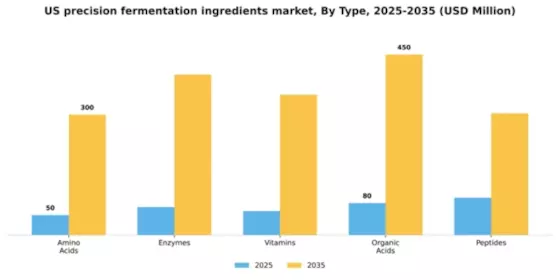 US Precision Fermentation Ingredients Market Segment Image 3