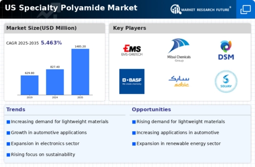US Specialty Polyamide Market Infographic