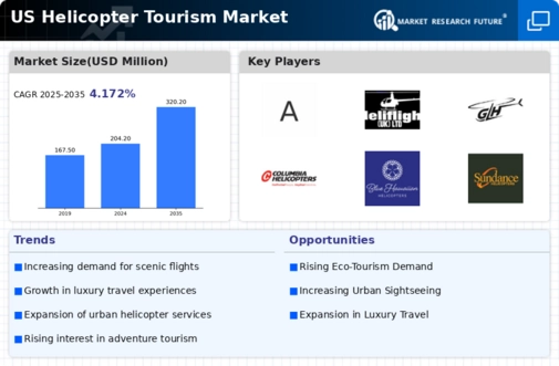 US Helicopter Tourism Market Infographic