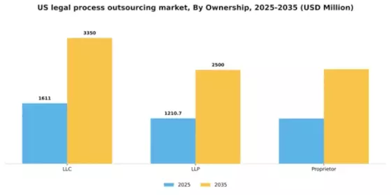 US Legal Process Outsourcing Market Segment Image 3