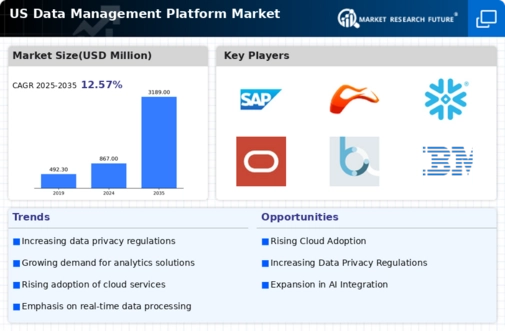 US Data Management Platform Market Infographic