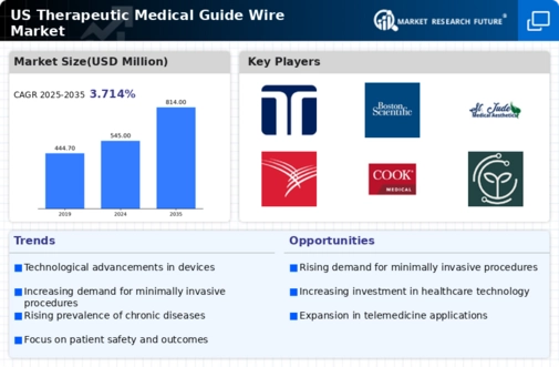 US Therapeutic Medical Guide Wire Market Infographic