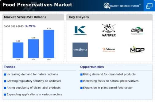 Food preservatives Market Infographic